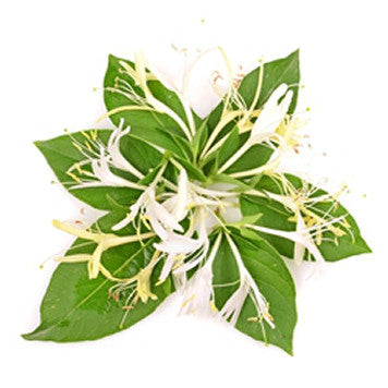 Honeysuckle Flavor- TFA- Gallon