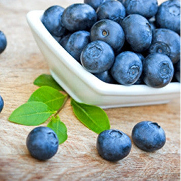 Wild Blueberry Flavor-TFA Gallon