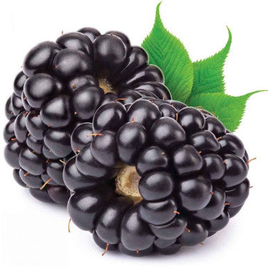 Blackberry Flavor -FW Gallon