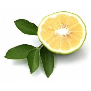Bergamot Flavor-FA-Gallon