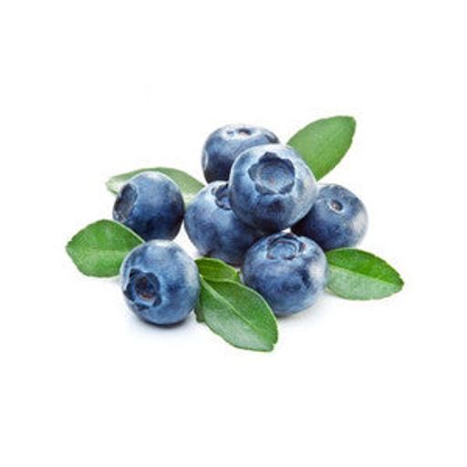 Blueberry Flavor -Cap Gallon