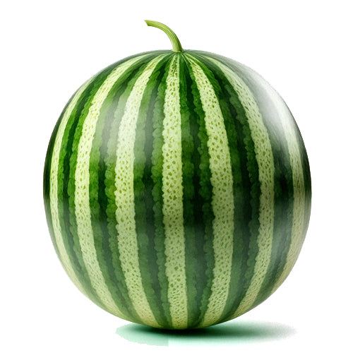 Watermelon Flavor-PUR Gallon