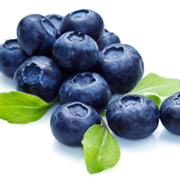 Blueberry (Extra) Flavor TFA- Gallon