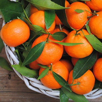 Orange Mandarin Flavor-TFA