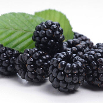 Blackberry Flavor -TFA Gallon