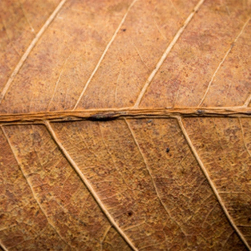 DK Tob. II Flavoring-TFA