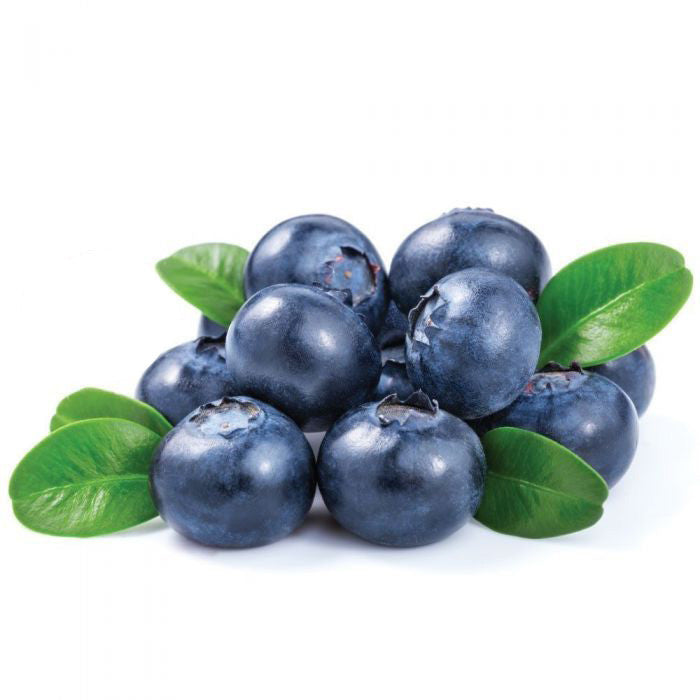 Blueberry Flavor-FW