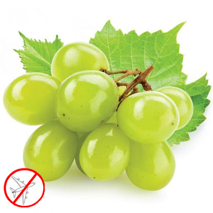 White Grape Flavor-FW