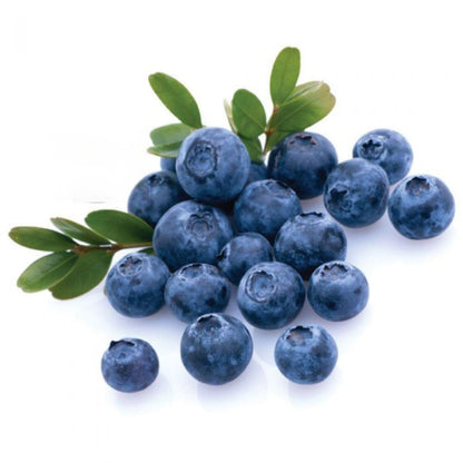 Huckleberry Flavor-FW