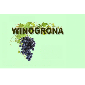 Grape Flavor INW 5 Liter