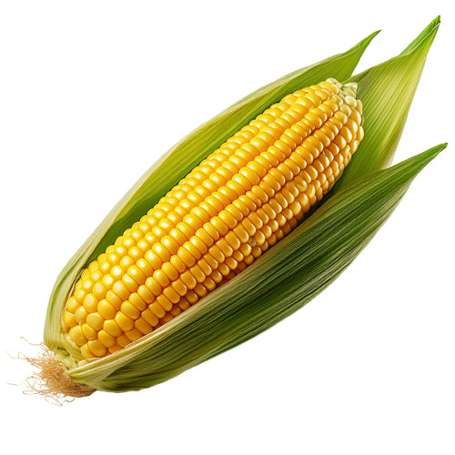 Corn Flavor-FA