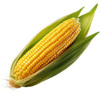 Corn Flavor-FA