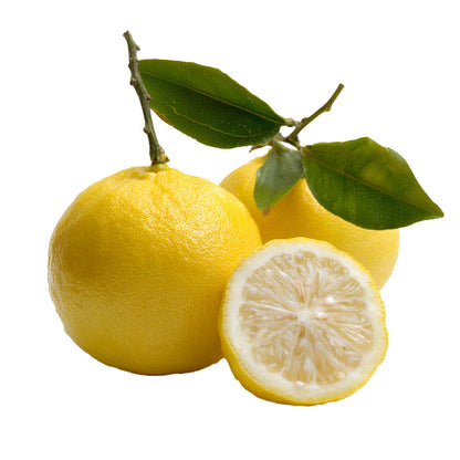 Yuzu Flavor-FA