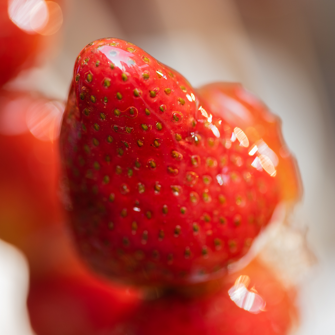 Strawberry Tanghulu-SC-WF
