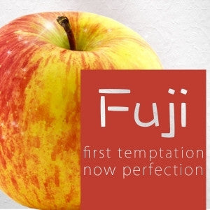 Fuji Flavor-FA-Gallon