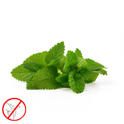 Garden Mint Flavor -SSA
