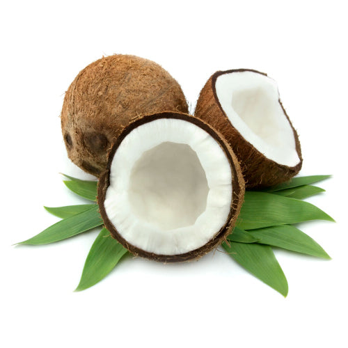 Ripe Coconut Flavor -SSA