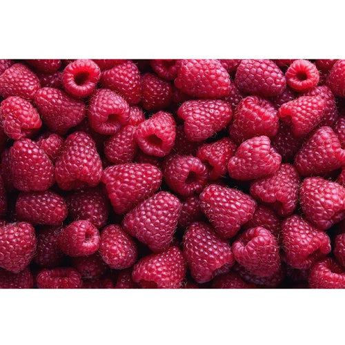 Premium Raspberry Flavor-SSA