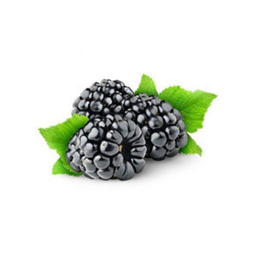 Blackberry Flavor -CAP Gallon