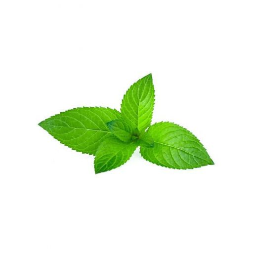 Cool Mint Flavor-Cap