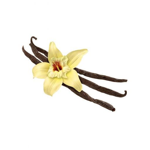 French Vanilla V2 Flavor-Cap