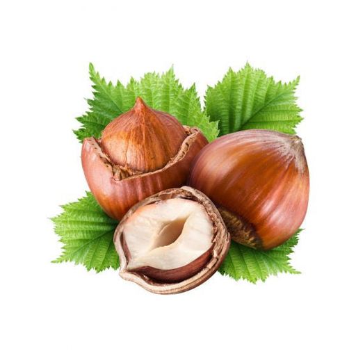 Hazelnut V2 Flavor-Cap