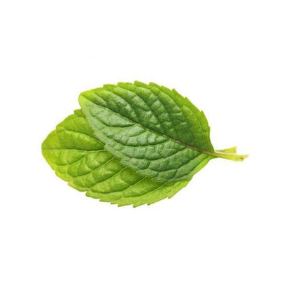 Spearmint Flavor-Cap