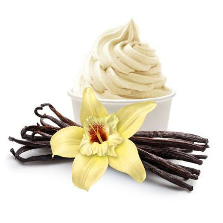 Vanilla ice cream with vanilla beans and a vanilla flower on a white background